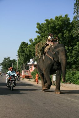 Jaipur, Hindistan