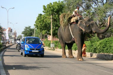 Jaipur, Hindistan