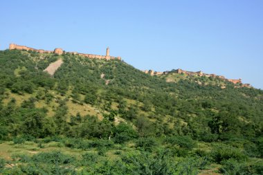 Amber fort, jaipur, Hindistan