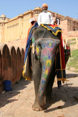 fil binmek - amber fort, jaipur, Hindistan