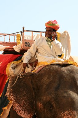 fil binmek - amber fort, jaipur, Hindistan