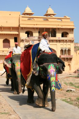 fil binmek - amber fort, jaipur, Hindistan