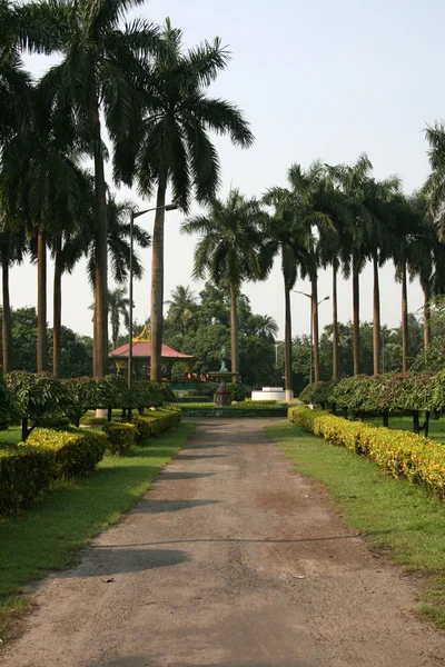 Eden Gardens, Коломба, Индия — стоковое фото
