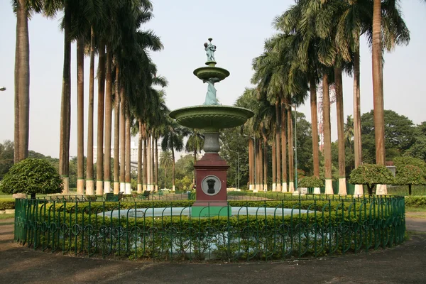 印度加尔各答，伊甸花园 — 图库照片