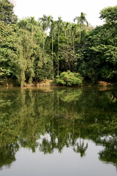 热带湖-伊甸花园、 加尔各答、 印度 — 图库照片