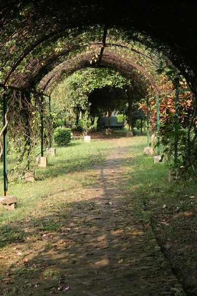 Eden Gardens, Calcutta, India — Foto Stock