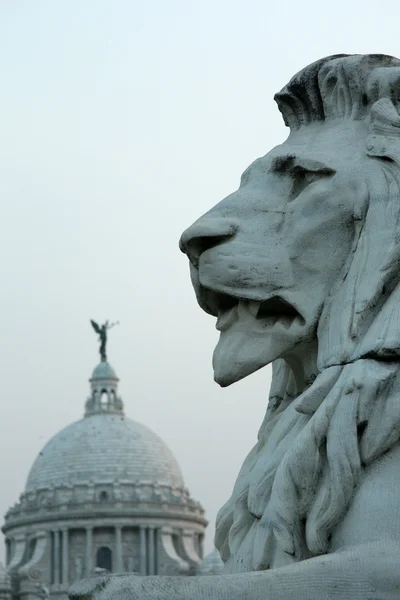 Leeuw standbeeld - victoria memorial, calcutta, india — Stockfoto