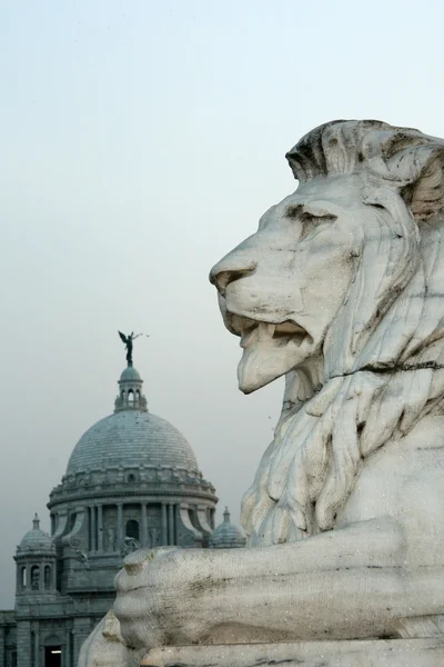 Leeuw standbeeld - victoria memorial, calcutta, india — Stockfoto