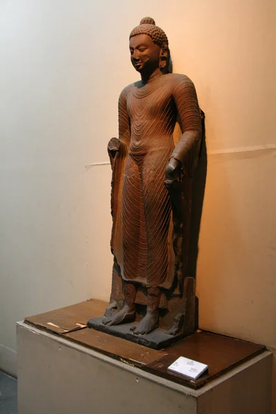 Museo de la India, Calcuta, India — Foto de Stock