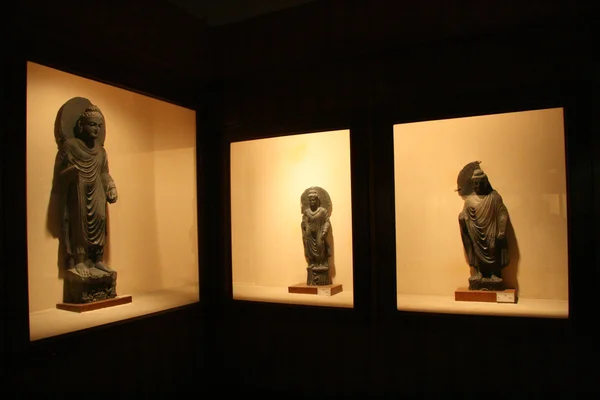 Museo Indiano, Calcutta, India — Foto Stock