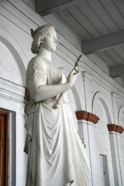 Indiske Museum, Kolkata, Indien - Stock-foto