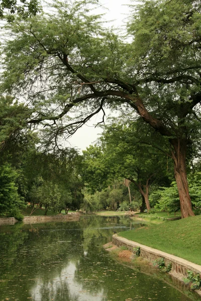 Lodi ogród, delhi, Indie — Zdjęcie stockowe