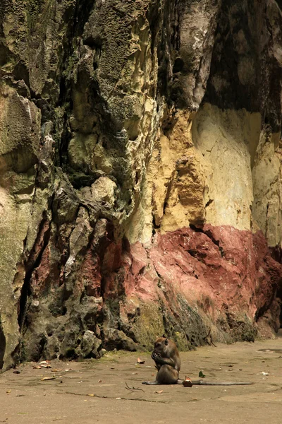 Grottes de Batu, Malaisie — Photo