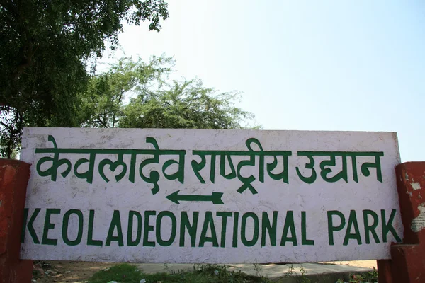 Keoladeo nationalpark, agra, Indien — Stockfoto