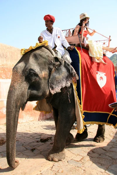 Olifant rijden - amber fort, jaipur, india — Stockfoto