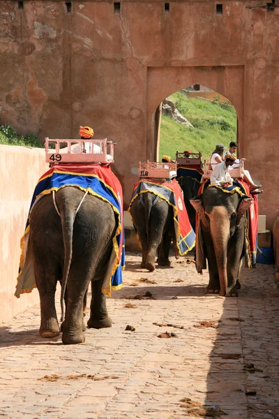 Βόλτα με ελέφαντα - πορτοκαλί φρούριο, jaipur, Ινδία — Φωτογραφία Αρχείου