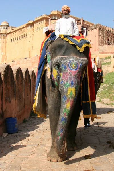 Paseo en elefante - Amber Fort, Jaipur, India — Foto de Stock
