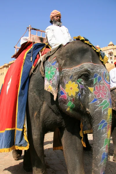 Слон ride - Янтарный Форт, Джайпур, Индия — стоковое фото