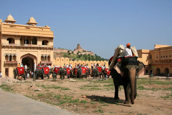Sloní jízdě - amber fort, jaipur, Indie — Stock fotografie