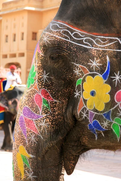Giro in elefante - forte di amber, jaipur, india — Foto Stock