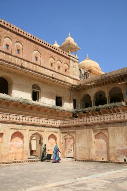 Amber fort, jaipur, Hindistan