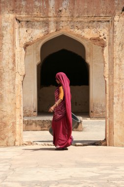 Amber fort, jaipur, Hindistan