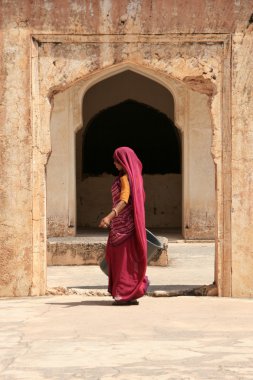 Amber Fort, Jaipur, India clipart