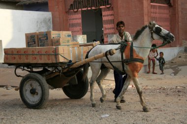 Jaipur, Hindistan