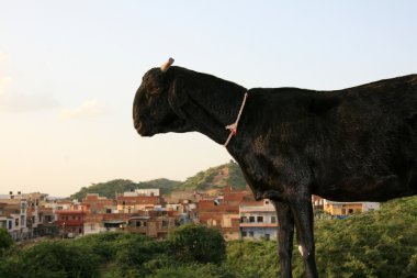 Templo del sol, jaipur, india