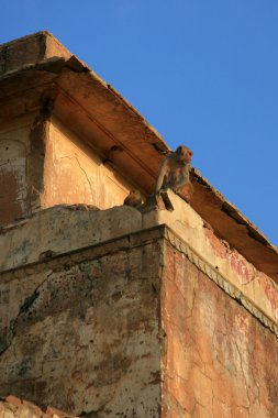 Templo del sol, jaipur, india