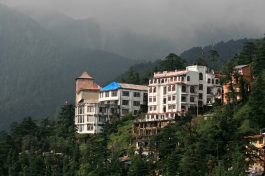 McLeod ganj, Hindistan