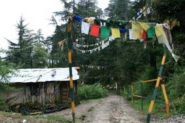 McLeod ganj, Hindistan