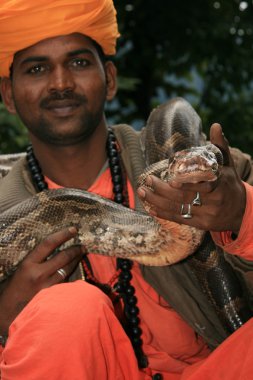 Snake Charming, India clipart