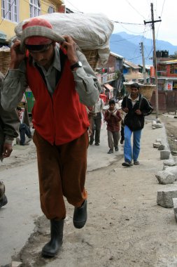 sokak hayatı - vashisht, Hindistan