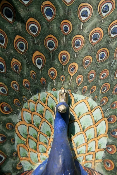 孔雀 - シティ パレス、ジャイプール、インド — ストック写真