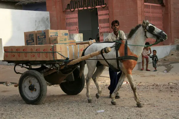 stock image Jaipur, India