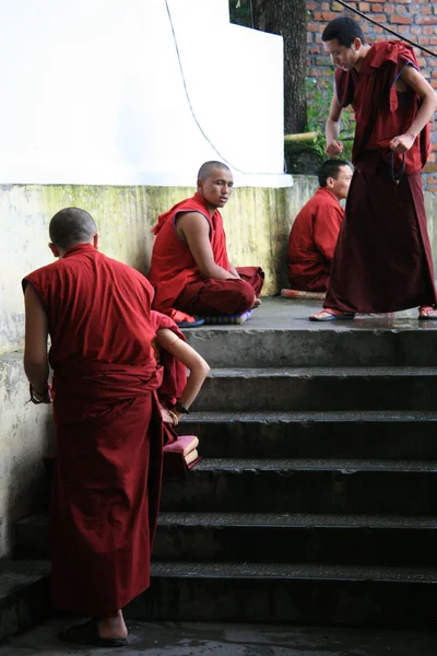 Monjes debatiendo en casa del Dalai Lama, India — Foto de Stock