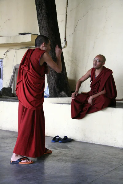 Munkit keskustelevat kotona Dalai Lama, Intia — kuvapankkivalokuva