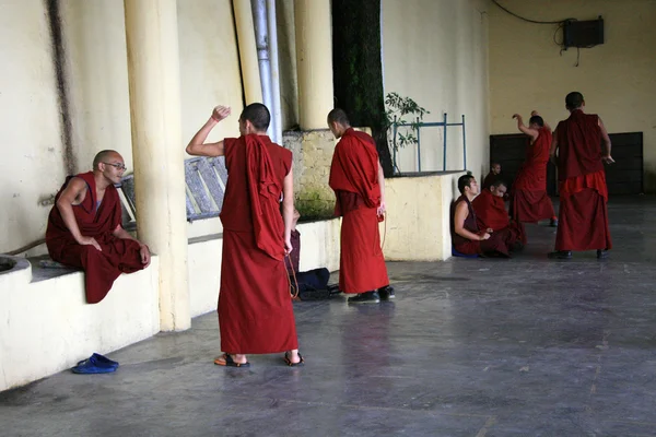 Monjes debatiendo en casa del Dalai Lama, India — Foto de Stock