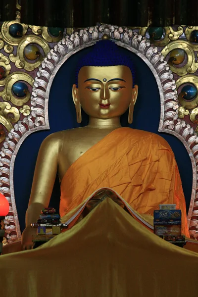 Boeddhabeeld op huis van dalai lama), india — Stockfoto