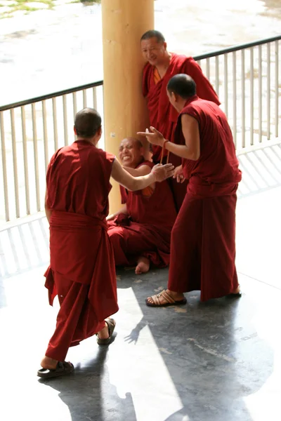 I monaci discutono a casa del Dalai Lama, India — Foto Stock
