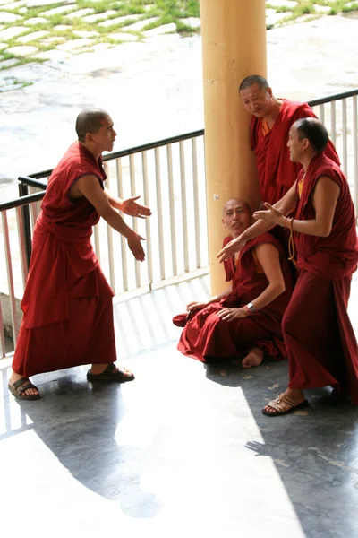 Μοναχοί που συζητάμε στο σπίτι του Δαλάι Λάμα, Ινδία — Φωτογραφία Αρχείου