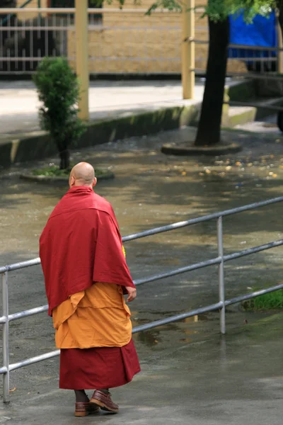 Βουδιστής μοναχός στο σπίτι του Δαλάι Λάμα, Ινδία — Φωτογραφία Αρχείου