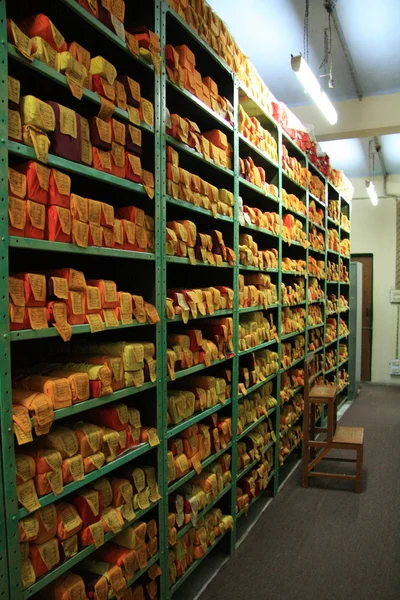 Biblioteca Tibetana, Mcleod Ganj, Índia — Fotografia de Stock