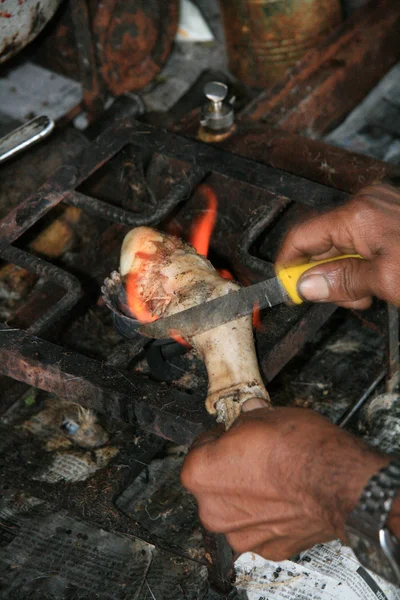 山羊蹄烹饪-麦克劳德杰根杰、 印度 — 图库照片
