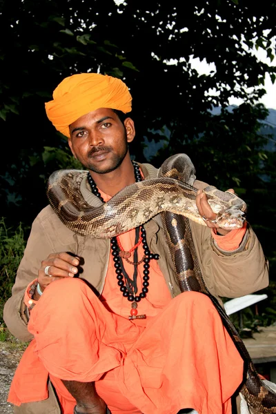 Змея Очаровательная, Индия — стоковое фото