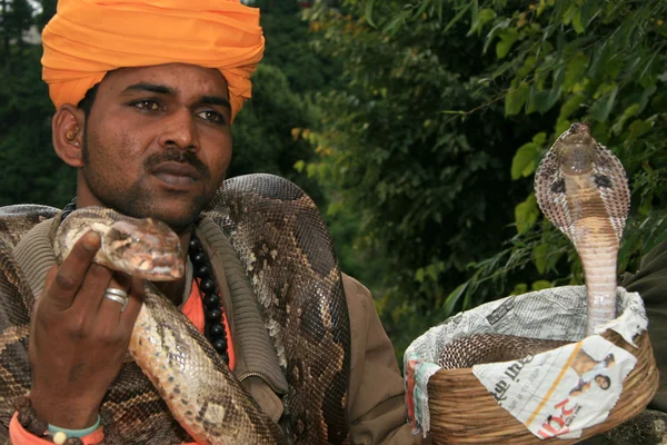 ヘビ、魅力的なインド — ストック写真