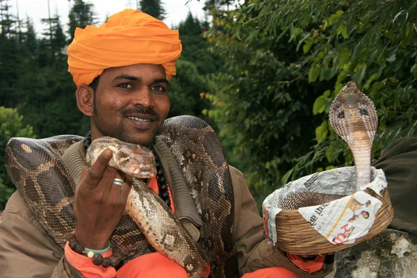 Wąż uroczy, Indie — Zdjęcie stockowe