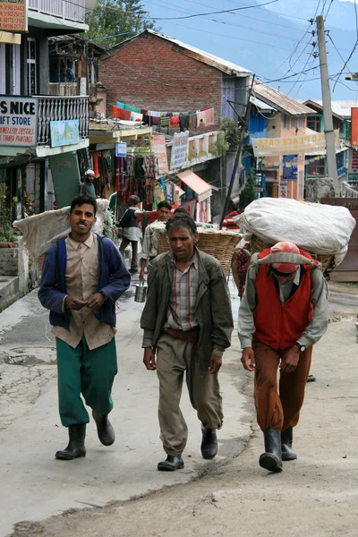 Vida callejera - vashisht, india — Foto de Stock
