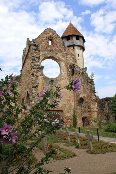 Scène de la journée avec ruine préservée de l'église cistercienne, Roumanie — Photo